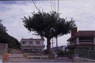20120819151258_0.jpg