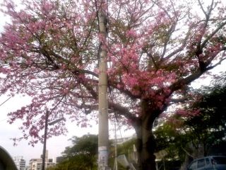 20120819151558_0.jpg