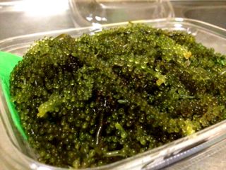 20120820211947_0.jpg