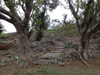 20121016135140_0.jpg