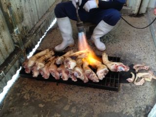 20121025114203_0.jpg