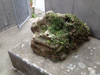 20130106210534_0.jpg