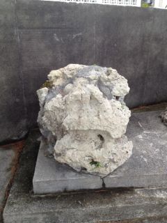 20130106210626_0.jpg