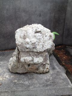 20130106210647_0.jpg