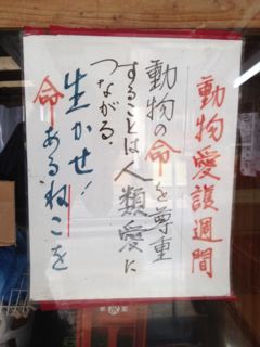20130109120024_0.jpg
