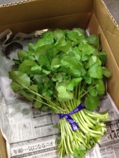 20130127111814_0.jpg