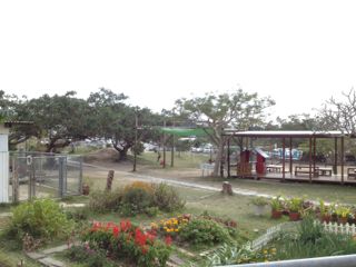 20130129181038_0.jpg