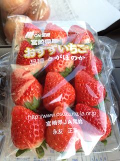 20130201085643_0.jpg