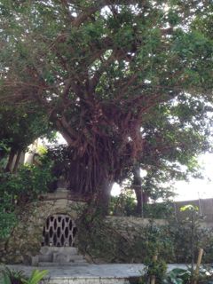 20130207153209_0.jpg