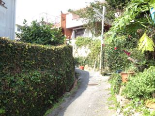 20130207153310_0.jpg