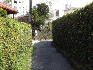 20130207153330_0.jpg
