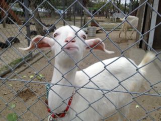 20130209203424_0.jpg