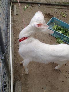 20130209203520_0.jpg