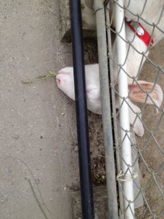 20130209203542_0.jpg