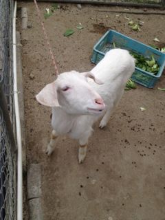 20130209203459_0.jpg