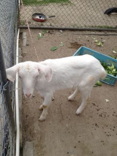 20130209203605_0.jpg