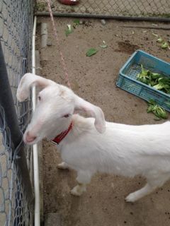 20130209203658_0.jpg