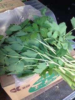 20130301075338_0.jpg
