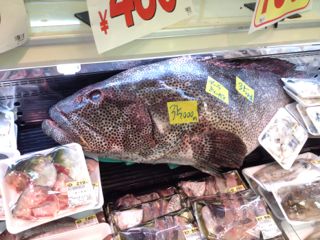20130302081902_0.jpg