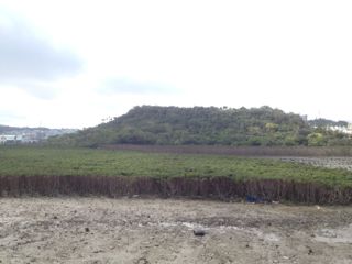 20130310111537_0.jpg