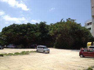 20130408125615_0.jpg