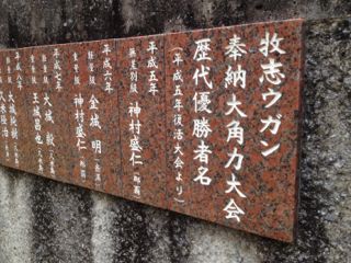 20130430233911_0.jpg