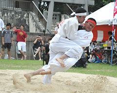 20130501120152_0.jpg