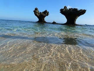 20130503220943_0.jpg