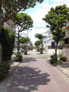 20130507124634_0.jpg