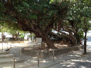 20130507125059_0.jpg
