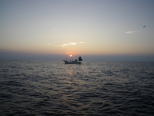 洲ノ崎沖95m