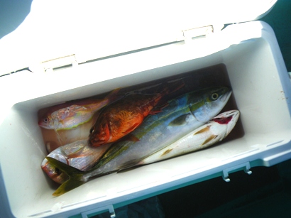 釣果