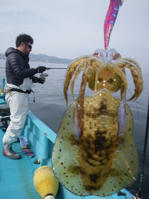 アオリ