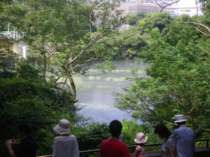 柿田川