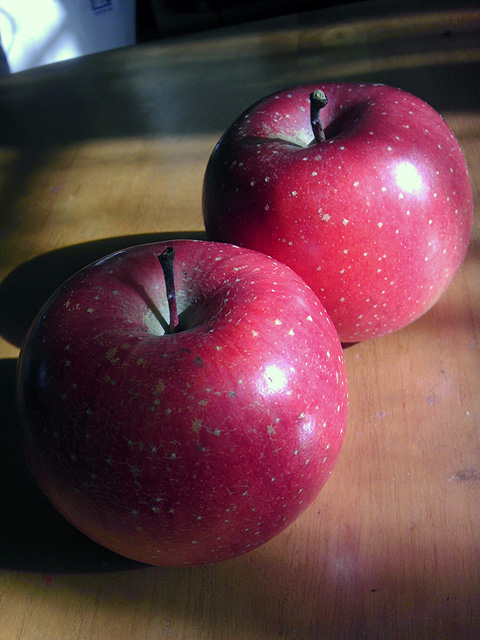 IMAG0215.jpg