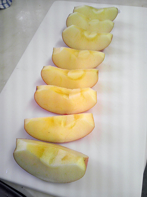 IMAG0217.jpg
