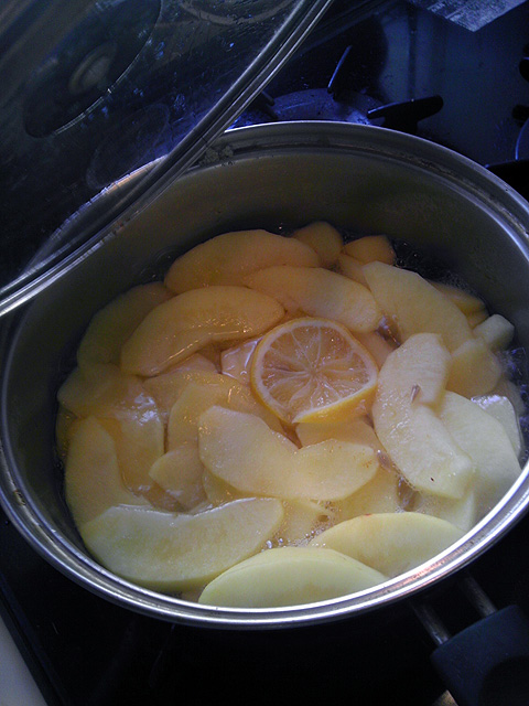 IMAG0237.jpg