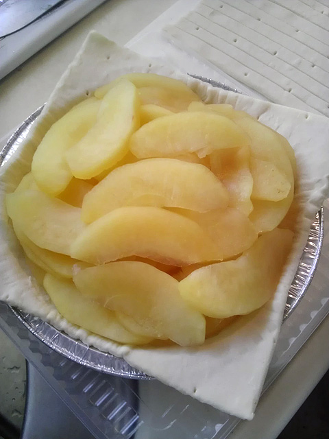 IMAG0243.jpg
