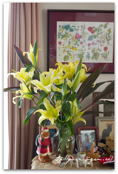 20110327いただいた花.jpg