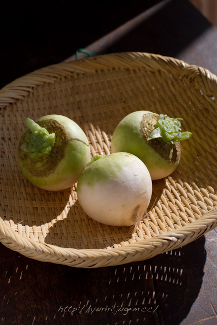 20111213 チャーミーさんちの野菜たち-13.jpg