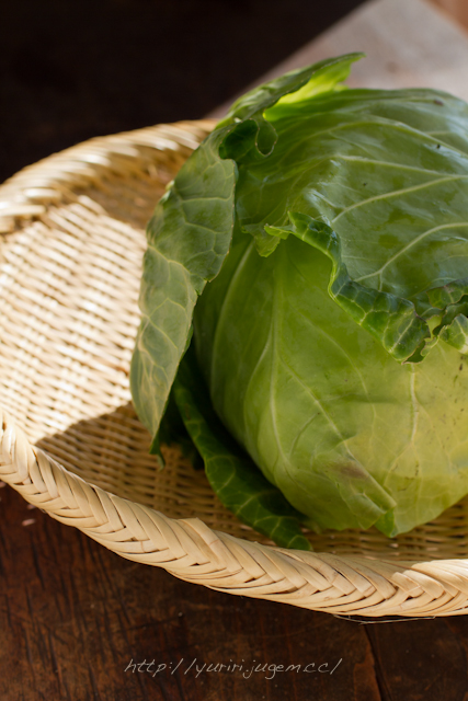 20111213 チャーミーさんちの野菜たち-10.jpg