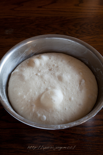 20120412 発酵.jpg