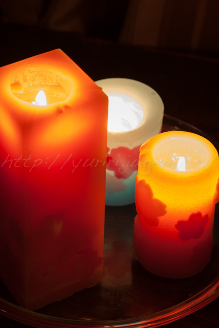 20140325桜キャンドル-7.jpg