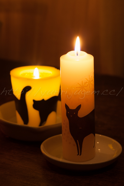 20140324猫キャンドル-2.jpg