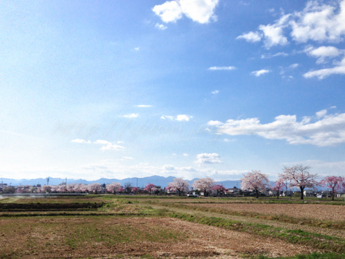 20140419鏡石ー地鎮祭-7.jpg