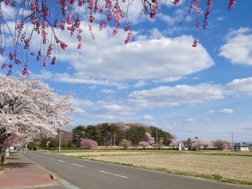 20140419鏡石ー地鎮祭-6.jpg
