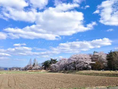 20140419鏡石ー地鎮祭-4.jpg