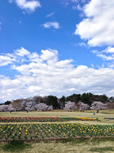 20140419鏡石ー地鎮祭-2.jpg