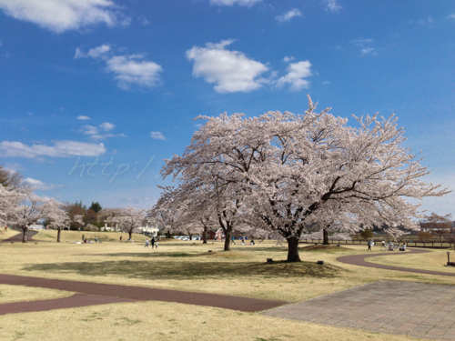 20140419鏡石ー地鎮祭.jpg