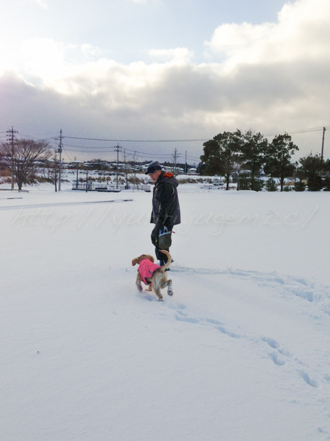 20141218もも-2.jpg